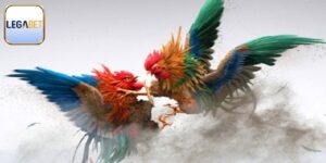 Đá Gà Bịp Legabet - Cẩn Trọng Khi Cá Cược Đá Gà Trực Tuyến