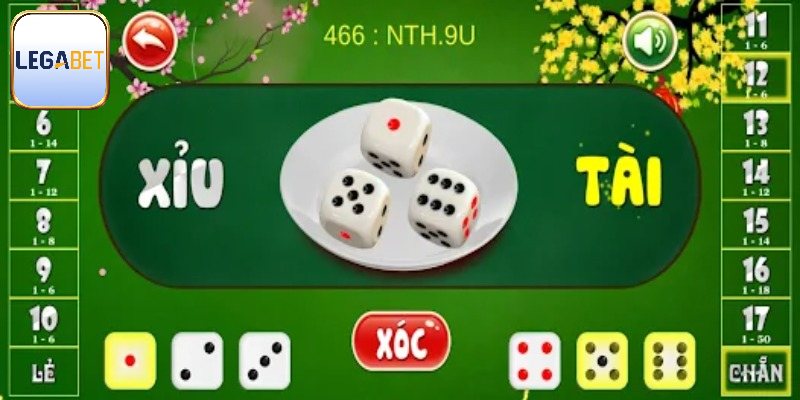 Thuật ngữ cơ bản cần nắm rõ